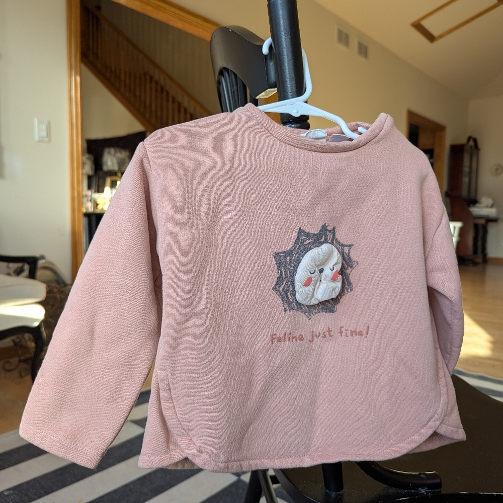 Zara Toddler Girl 3-4Y Pale Pink Mauve Lion Crewneck Sweatshirt